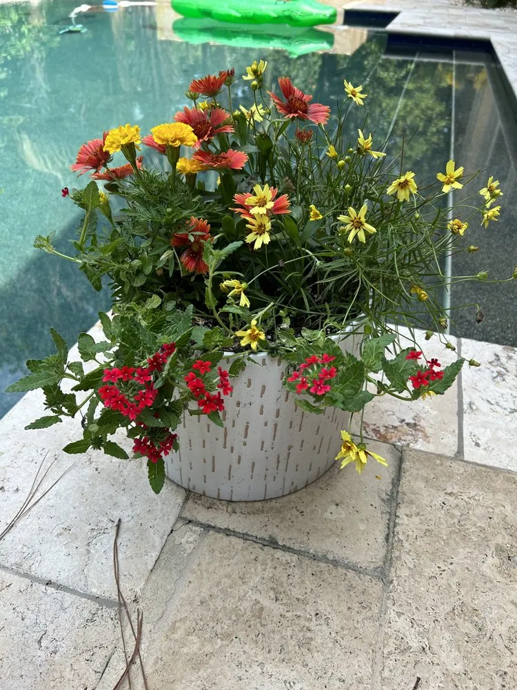 Top-rated landscaping services experts serving Tallahassee, FL - KJ Design and Landscaping