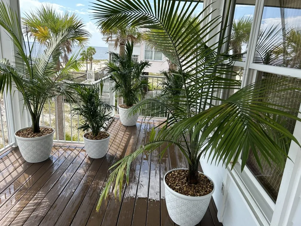 Top-rated outdoor landscaping near you in Tallahassee, FL by KJ Design and Landscaping