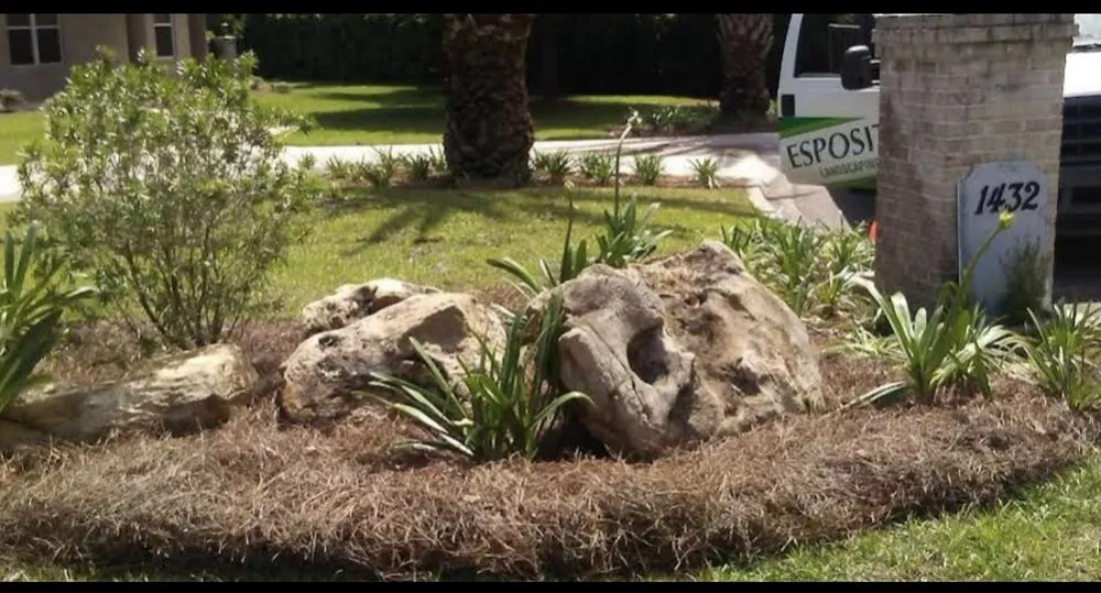 Trusted yard cleanup service in Tallahassee, FL - KJ Design and Landscaping