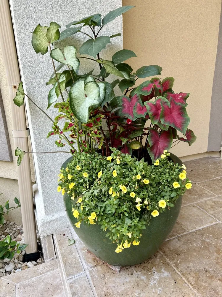 Custom lawn mowing service for year-round maintenance across Tallahassee, FL - KJ Design and Landscaping