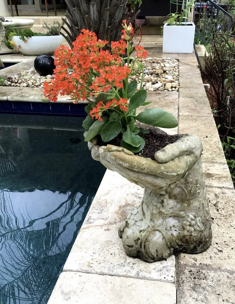 Professional garden landscaping for residential properties in Tallahassee, FL by KJ Design and Landscaping