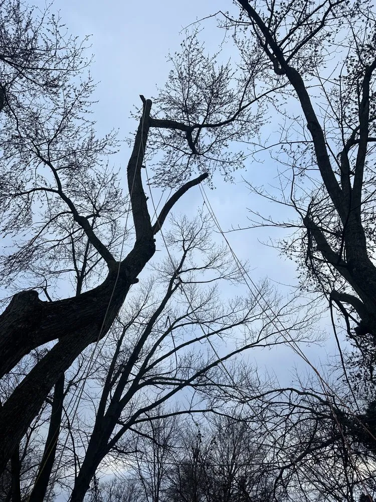 Trusted outdoor landscaping in Logan, OH by Kj Enterprising