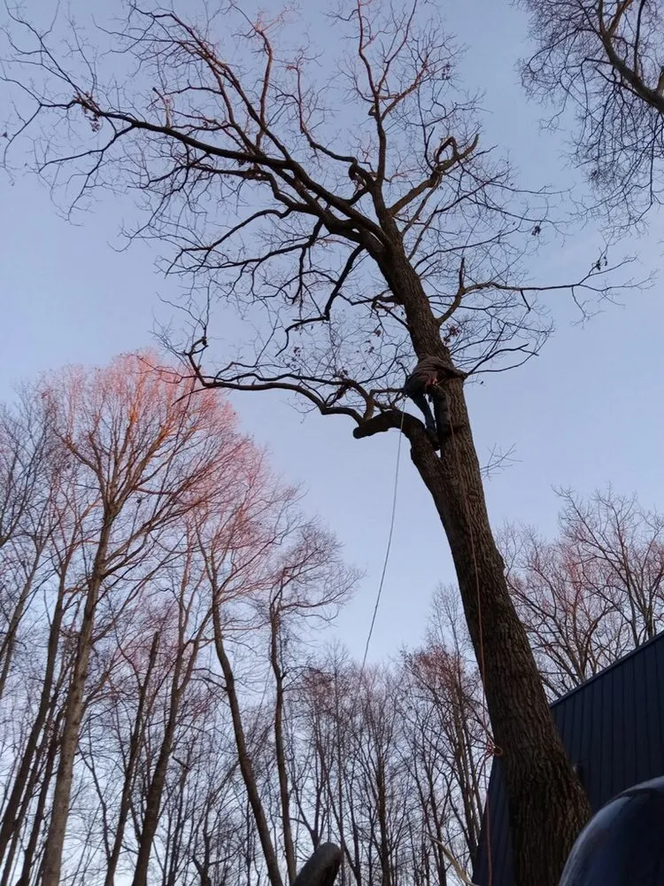 Trusted lawn mowing service near you in Logan, OH by Kj Enterprising