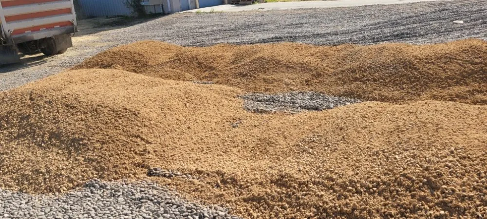 Reliable landscape design for beautiful yards across Layton, UT - KJ Excavation & Landscaping