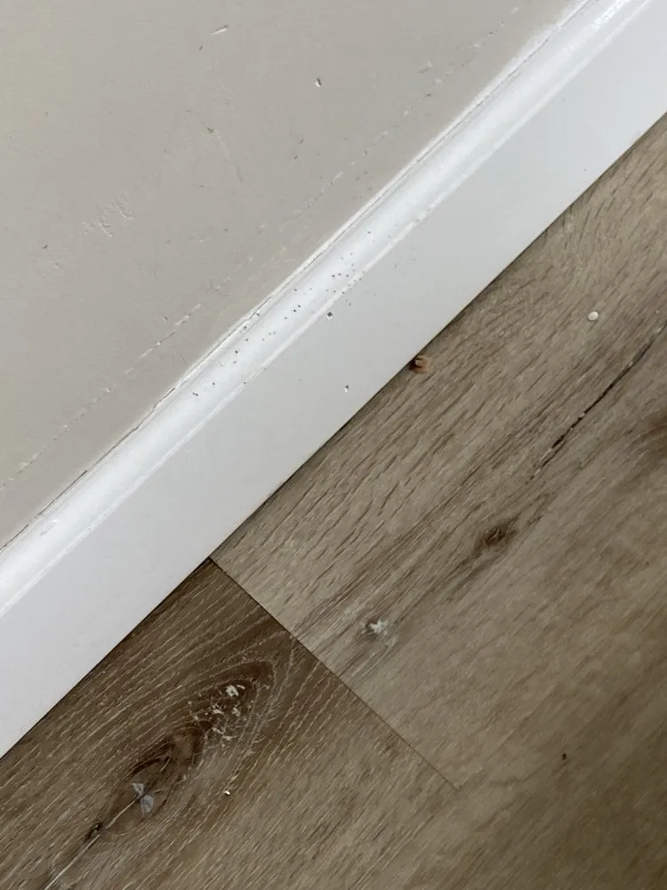 Local landscape installation for homes across Cleveland, OH - K&J General Services