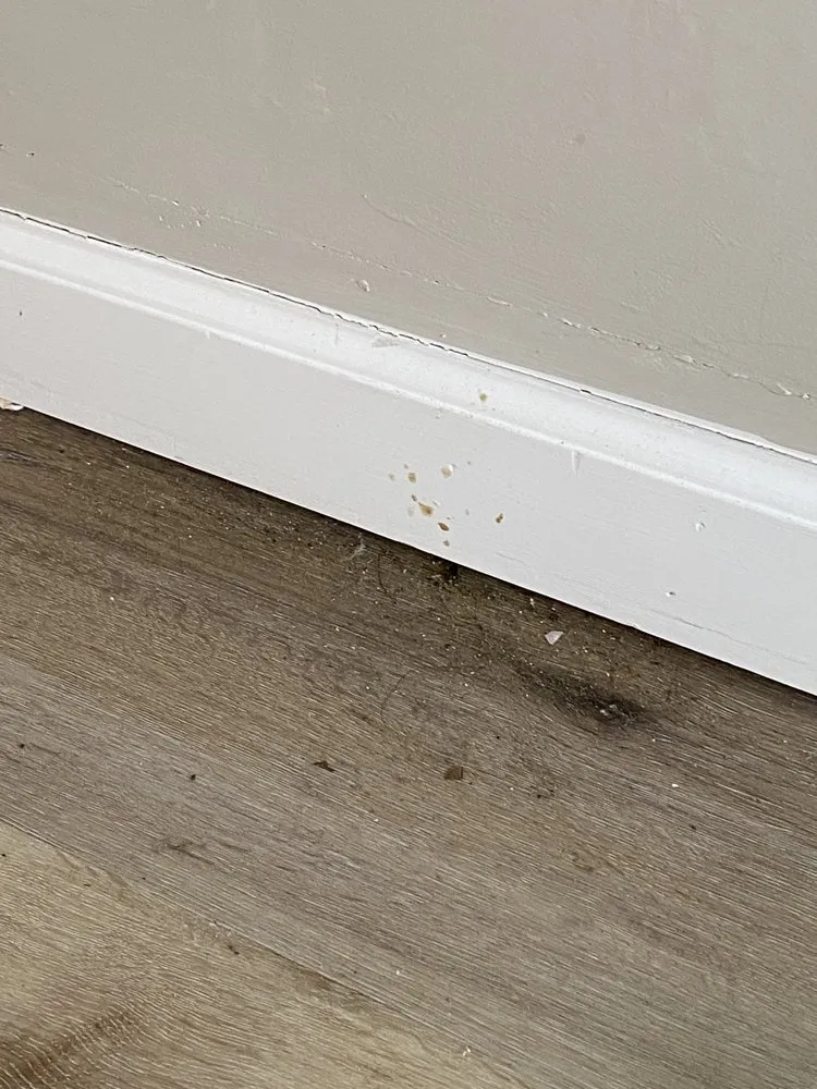 Trusted outdoor landscaping experts serving Cleveland, OH - K&J General Services