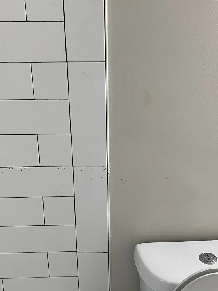 Affordable yard maintenance experts serving Cleveland, OH - K&J General Services