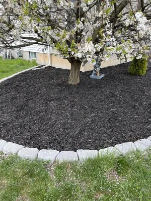 K&J General Services