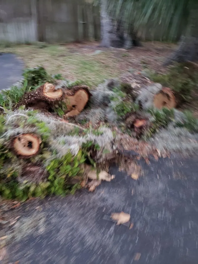 Local garden landscaping experts serving Ocala, FL - K&J Land Solutions