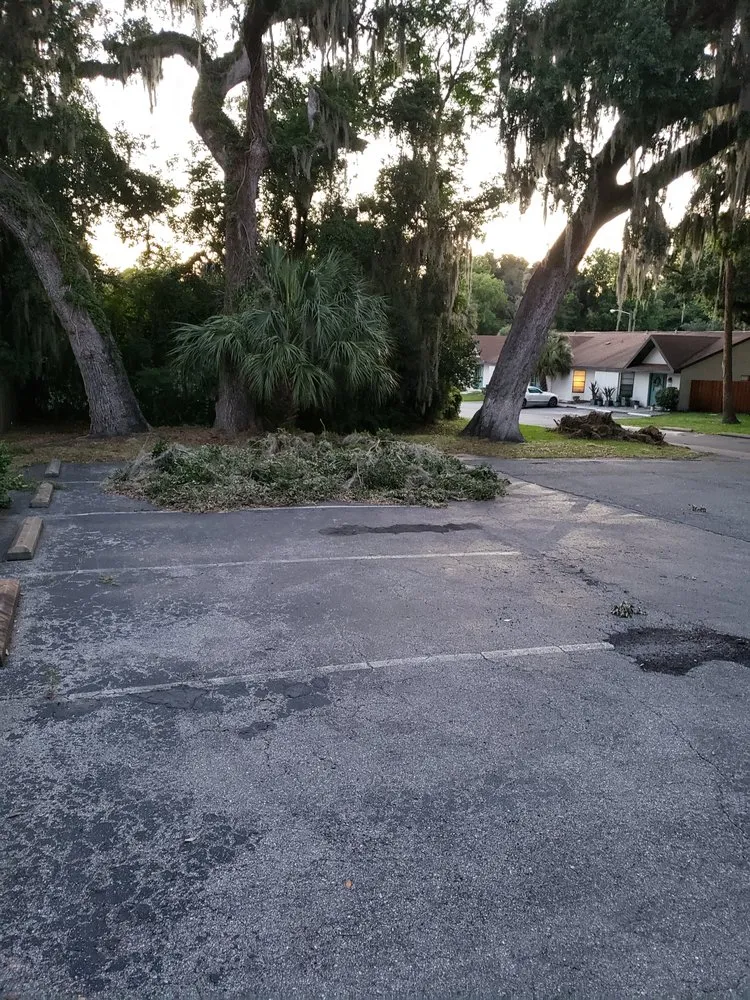 Top-rated garden landscaping experts serving Ocala, FL - K&J Land Solutions