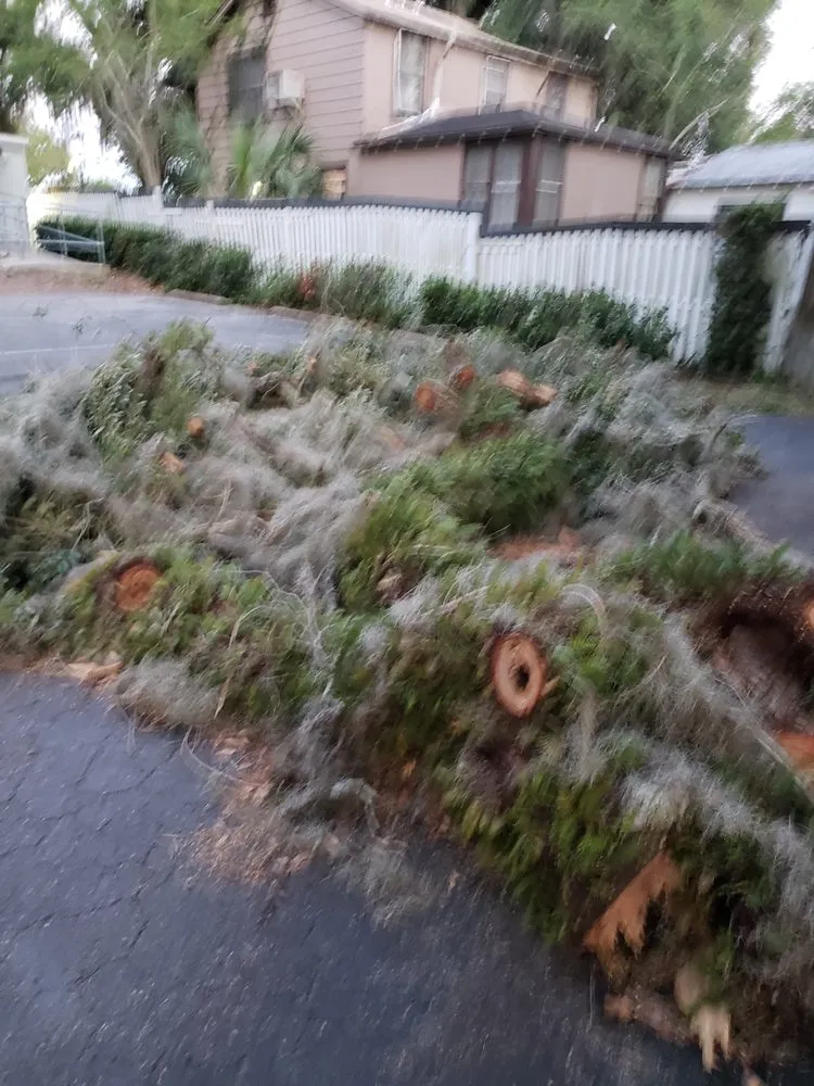 Local landscape installation in Ocala, FL - K&J Land Solutions