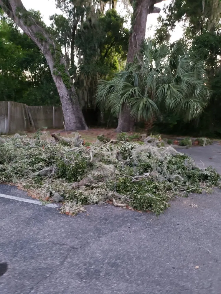 Professional outdoor landscaping for beautiful yards in Ocala, FL by K&J Land Solutions