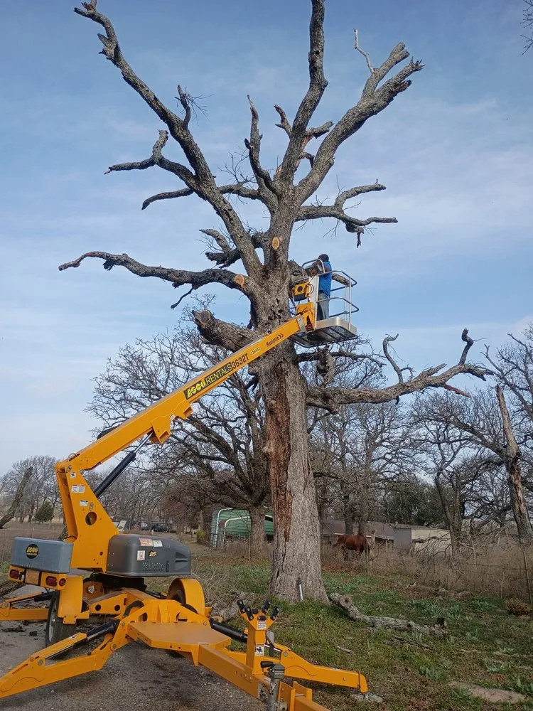 Professional yard maintenance experts serving Longview, TX - KJ Landscaping & Construction