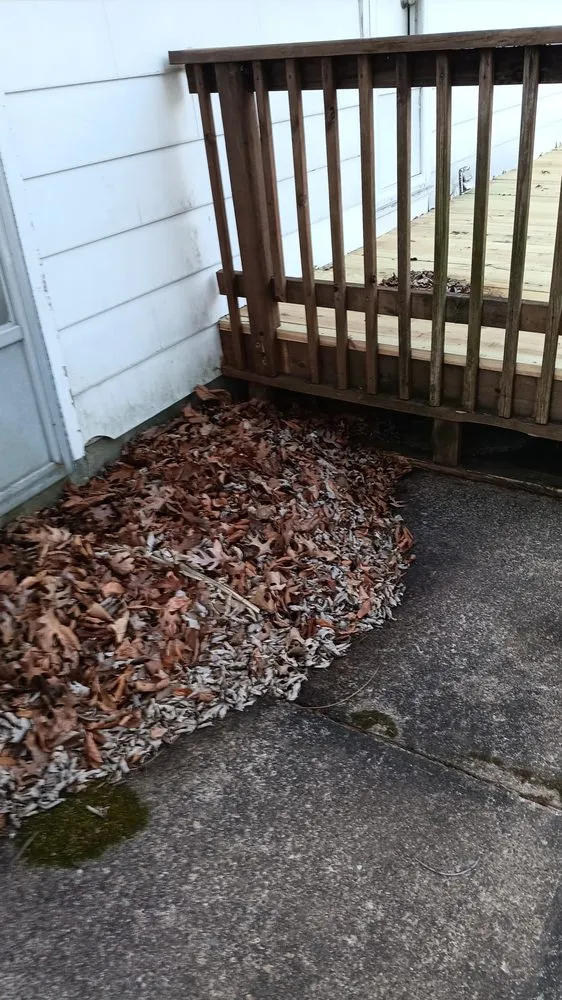 Affordable garden landscaping for beautiful yards across Staten Island, NY - K&J Landscaping & Tree Service