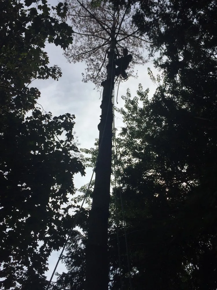 Custom outdoor landscaping experts serving Staten Island, NY - K&J Landscaping & Tree Service