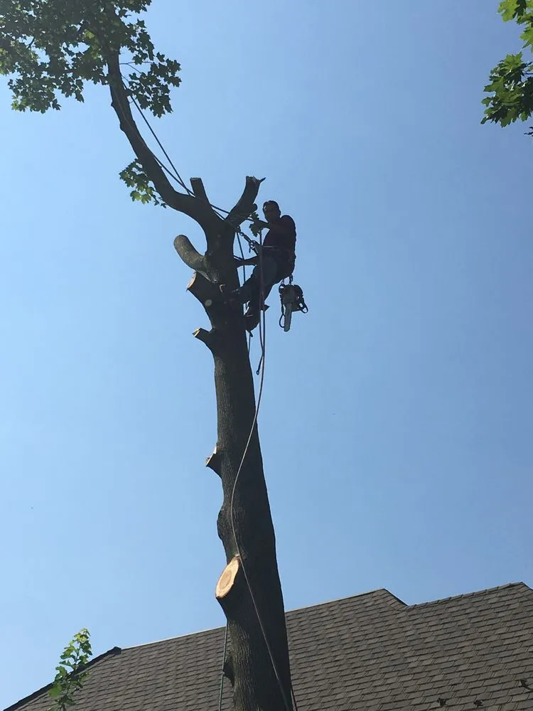 Expert lawn mowing service in Staten Island, NY by K&J Landscaping & Tree Service