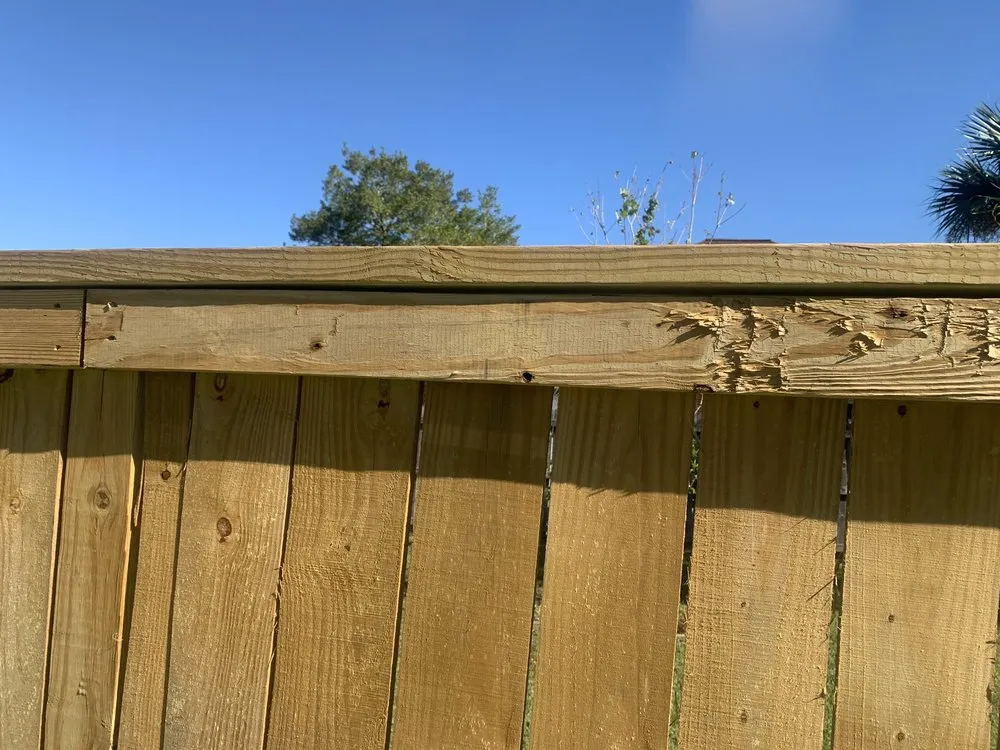 Affordable yard cleanup service experts serving Cantonment, FL - K&J Landscaping