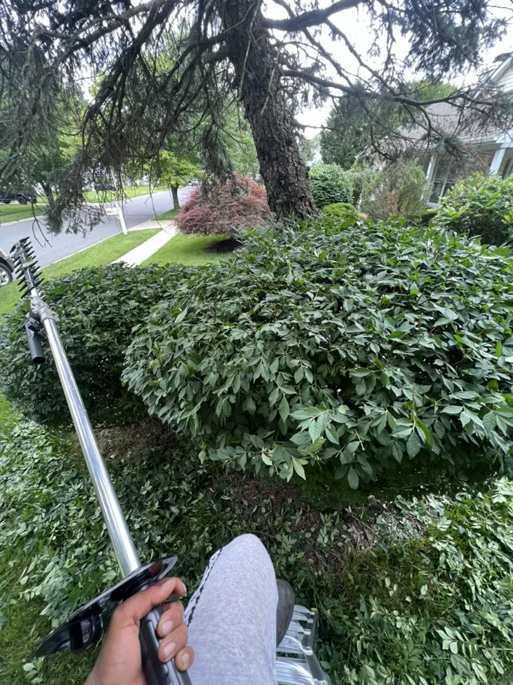 Custom yard cleanup service in Camden, NJ by Kj landscaping Services