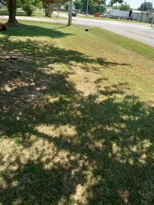 K&J Lawn Care Business Logo