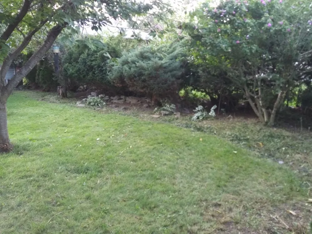 Local landscaping services for homes across Niagara Falls, NY - K&J Lawn Care