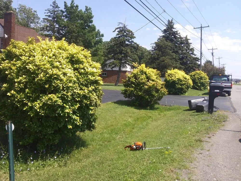 Affordable yard maintenance experts serving Niagara Falls, NY - K&J Lawn Care