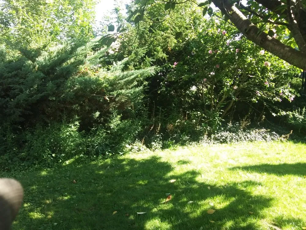 Custom yard cleanup service for beautiful yards in Niagara Falls, NY by K&J Lawn Care