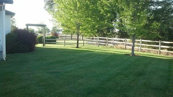 Custom lawn care service for outdoor upgrades across Twin Falls, ID - KJ Lawn Maintenance & Spraying