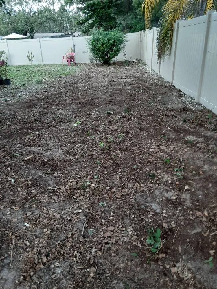 Professional yard maintenance with custom design in Largo, FL by KJ Lawn Services