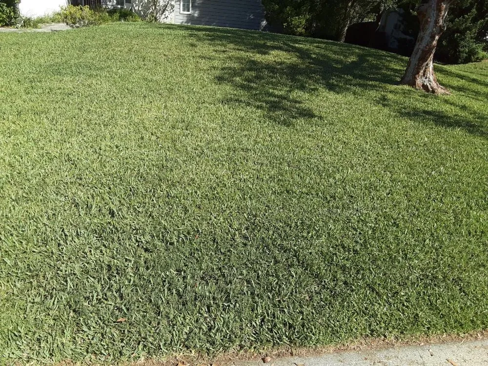 Professional lawn care service for beautiful yards in Largo, FL by KJ Lawn Services
