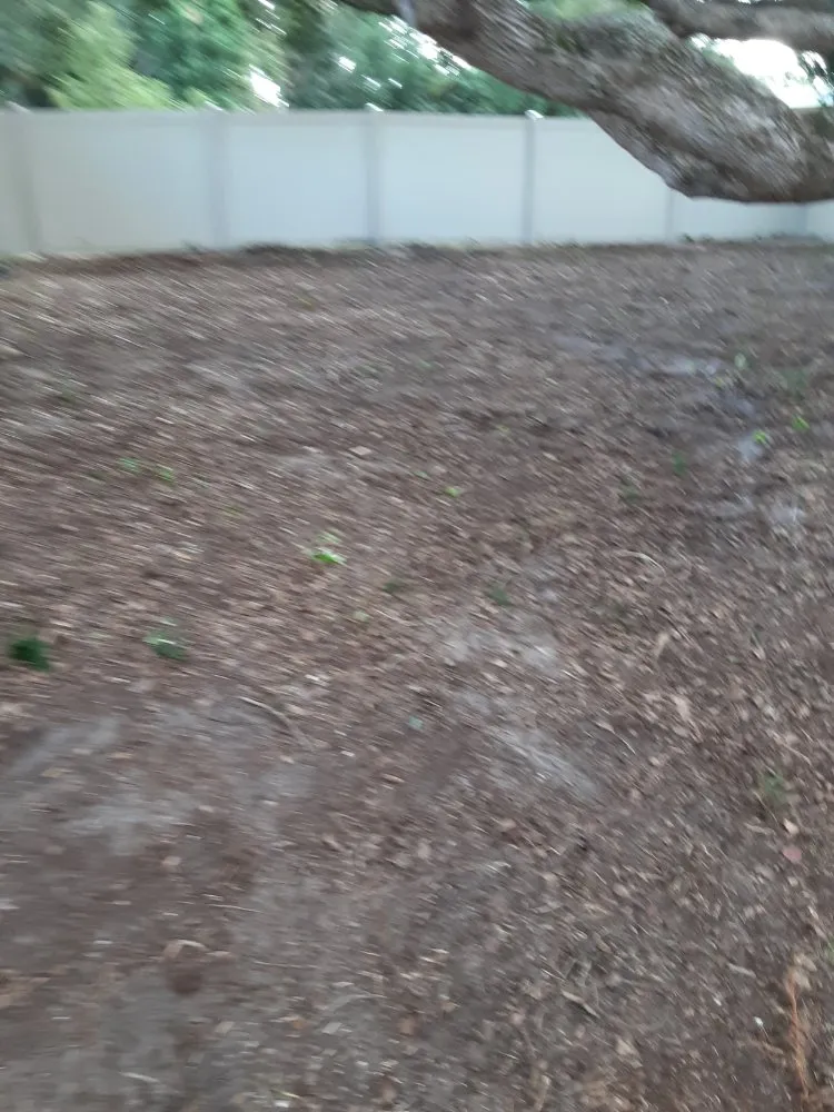 Local landscape installation for beautiful yards across Largo, FL - KJ Lawn Services