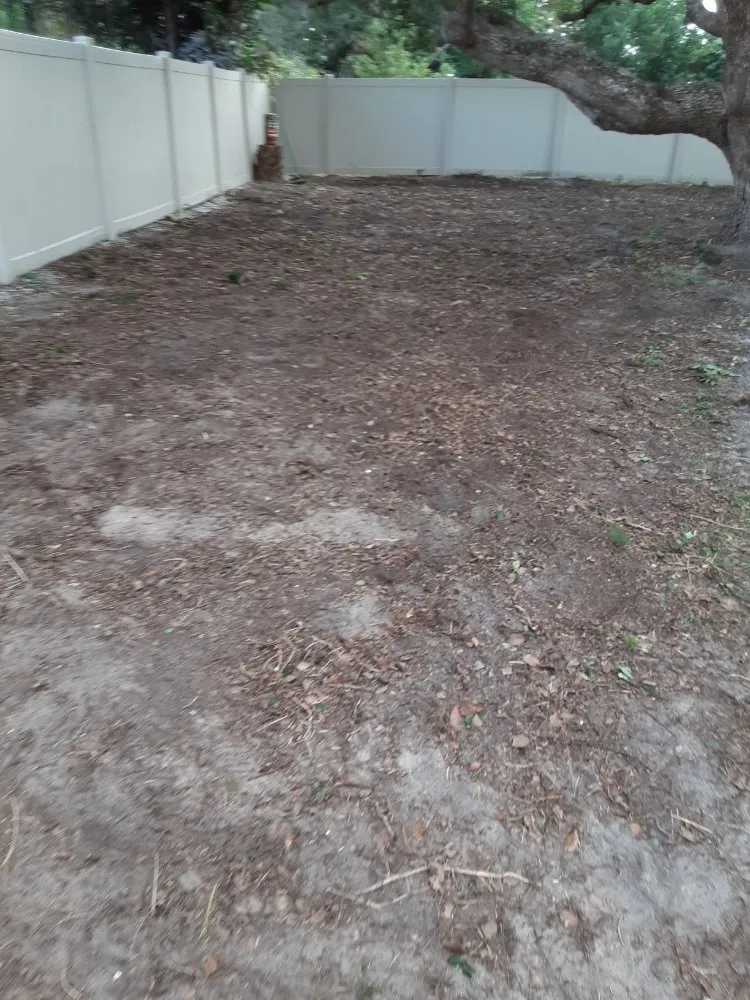 Affordable lawn mowing service for homes across Largo, FL - KJ Lawn Services