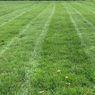 K&J Lawn Solutions Logo