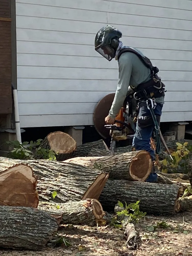 Reliable garden landscaping with custom design in Bay City, TX by K&J Maple Tree & Outdoor Services