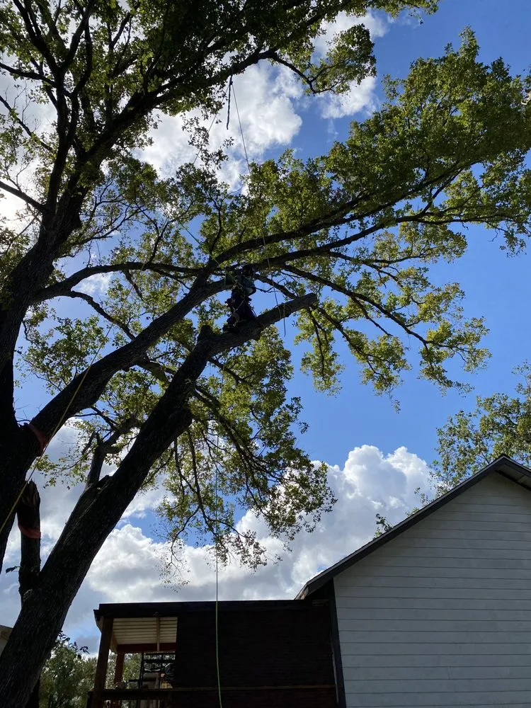 Top-rated lawn mowing service for outdoor upgrades across Bay City, TX - K&J Maple Tree & Outdoor Services