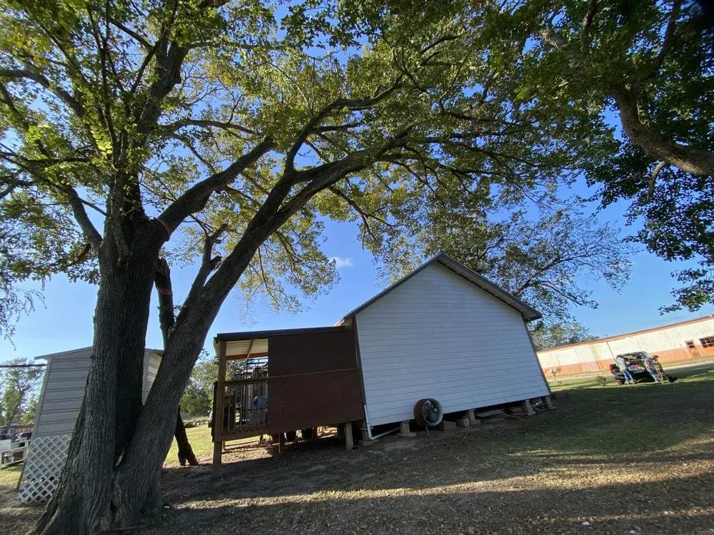 Custom yard cleanup service in Bay City, TX by K&J Maple Tree & Outdoor Services