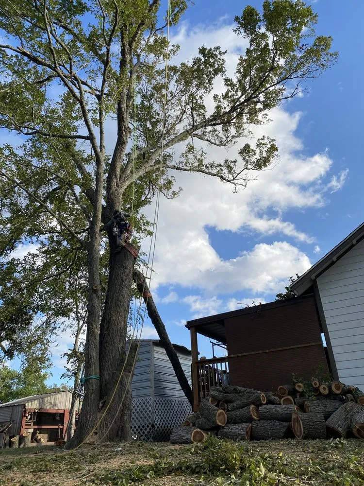 Affordable landscape design in Bay City, TX by K&J Maple Tree & Outdoor Services