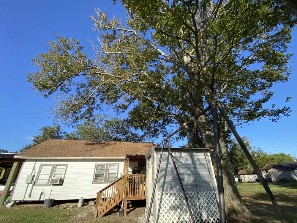 Custom residential landscaping experts serving Bay City, TX - K&J Maple Tree & Outdoor Services