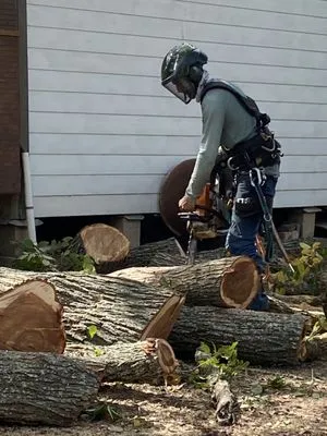 K&J Maple Tree & Outdoor Services Logo