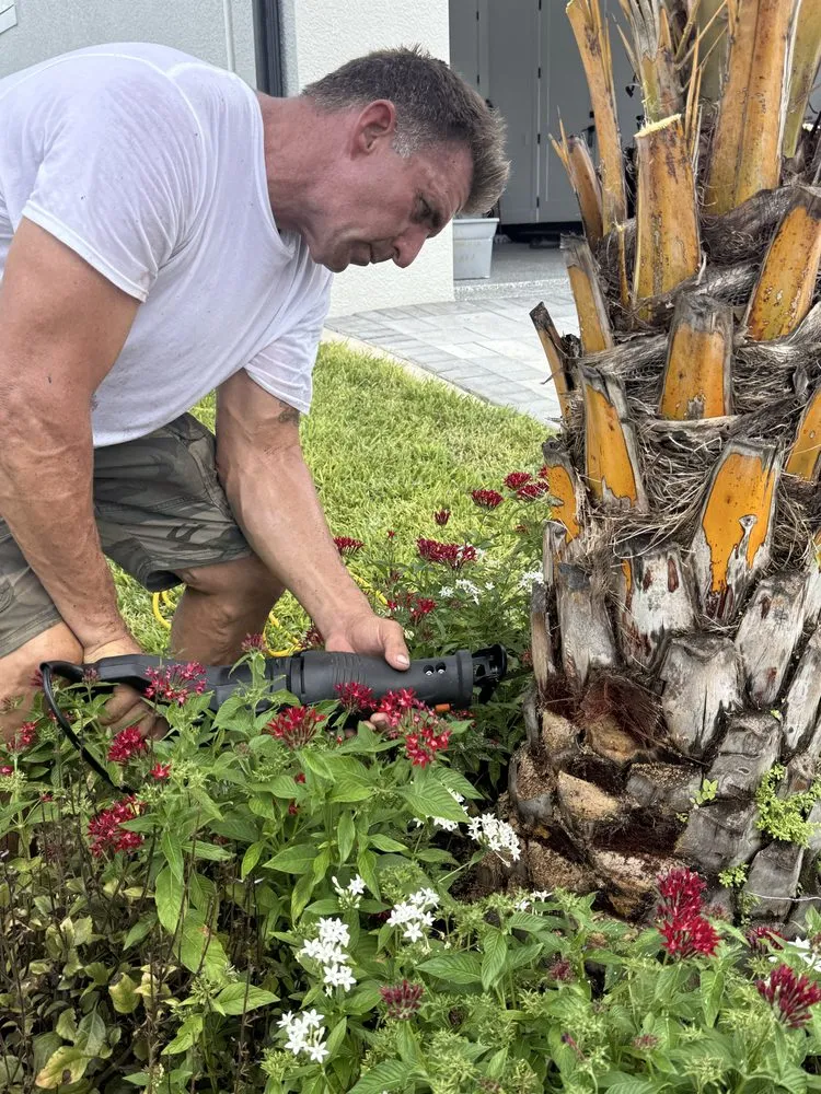 Professional lawn mowing service for homes in Ruskin, FL by KJ Tropical Palm