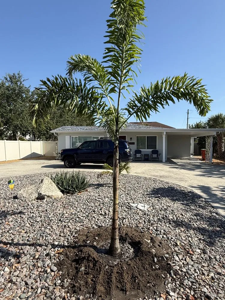 Custom residential landscaping experts serving Ruskin, FL - KJ Tropical Palm