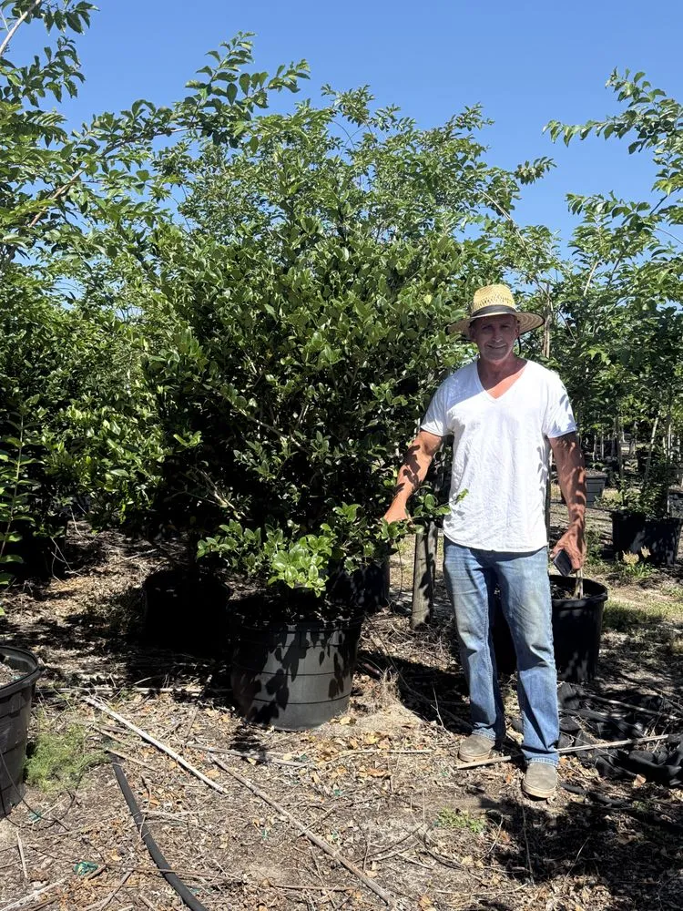 Professional residential landscaping experts serving Ruskin, FL - KJ Tropical Palm