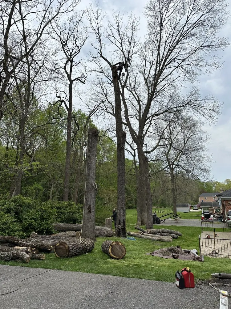 Top-rated yard maintenance in Brooklyn, MD by KJA Landscaping