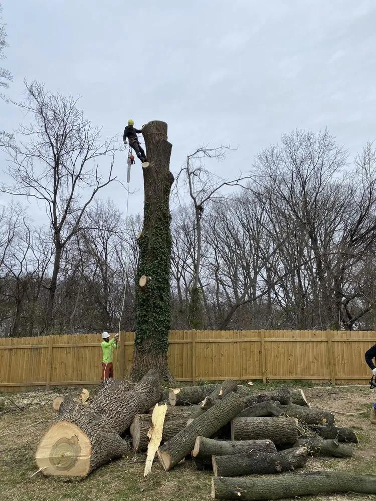 Local lawn care service in Brooklyn, MD by KJA Landscaping