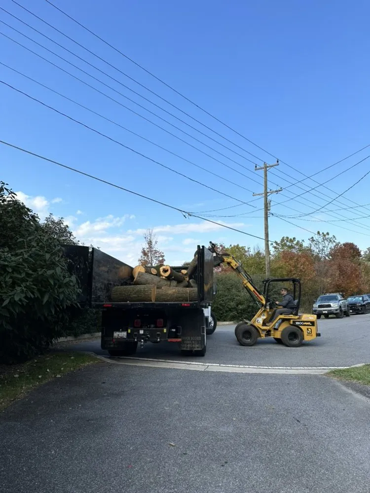 Top-rated garden landscaping for year-round maintenance across Brooklyn, MD - KJA Landscaping