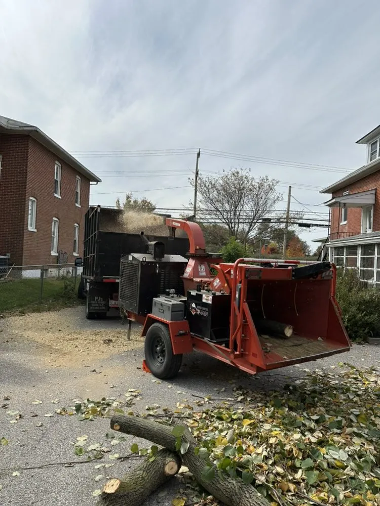 Expert lawn care service in Brooklyn, MD - KJA Landscaping