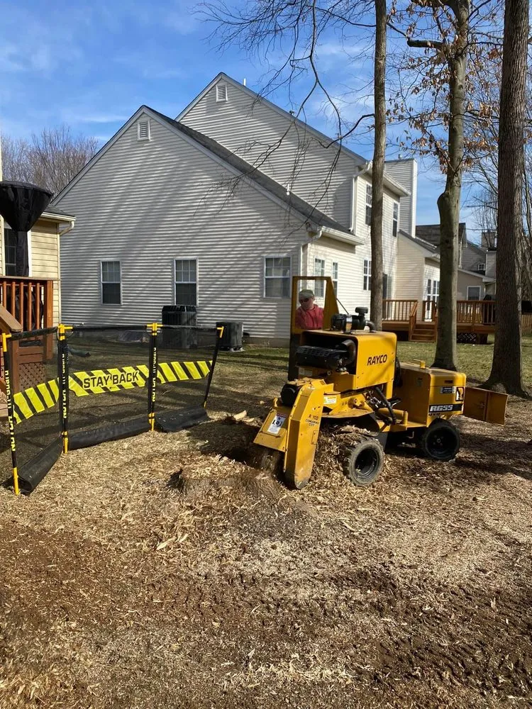 Expert yard cleanup service in Brooklyn, MD by KJA Landscaping