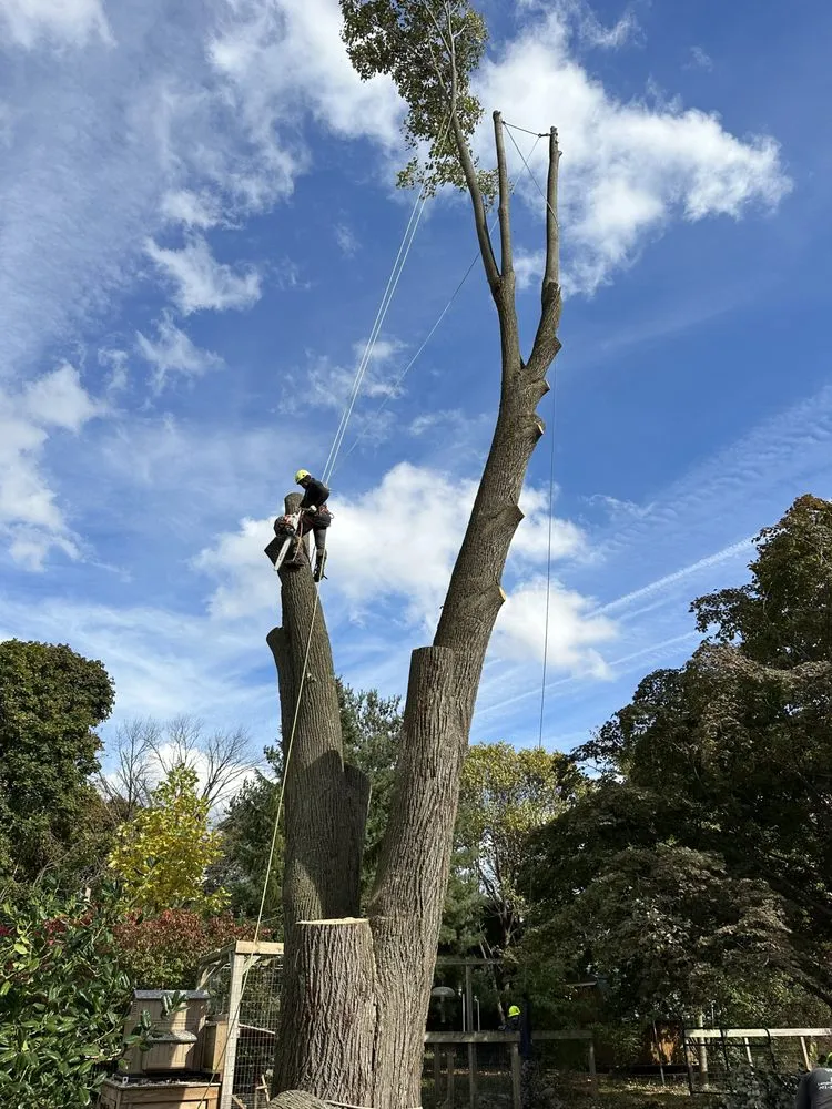 Custom landscaping services in Brooklyn, MD - KJA Landscaping