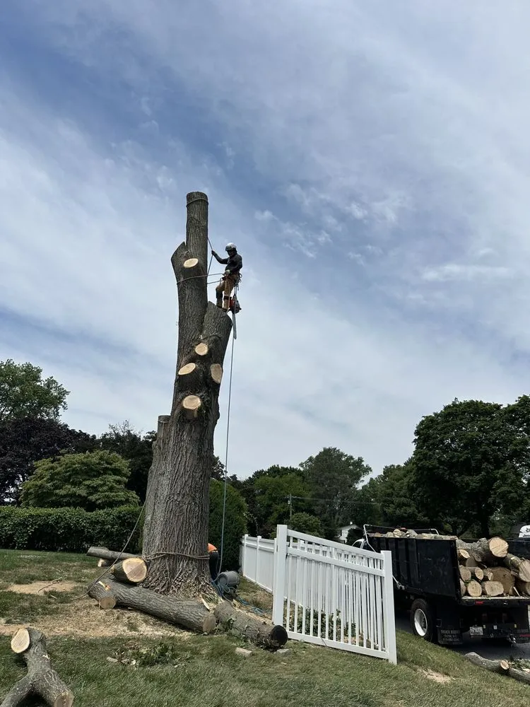 Trusted residential landscaping experts serving Brooklyn, MD - KJA Landscaping
