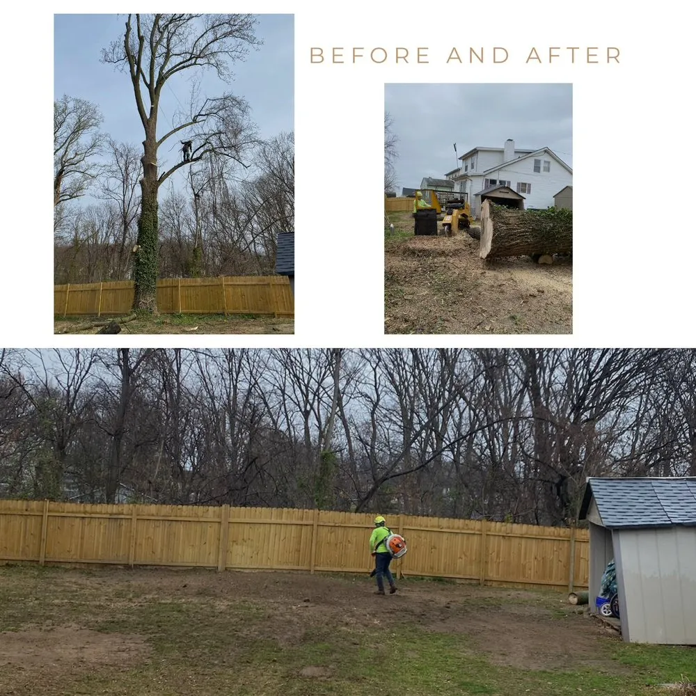 Affordable landscape installation in Brooklyn, MD by KJA Landscaping