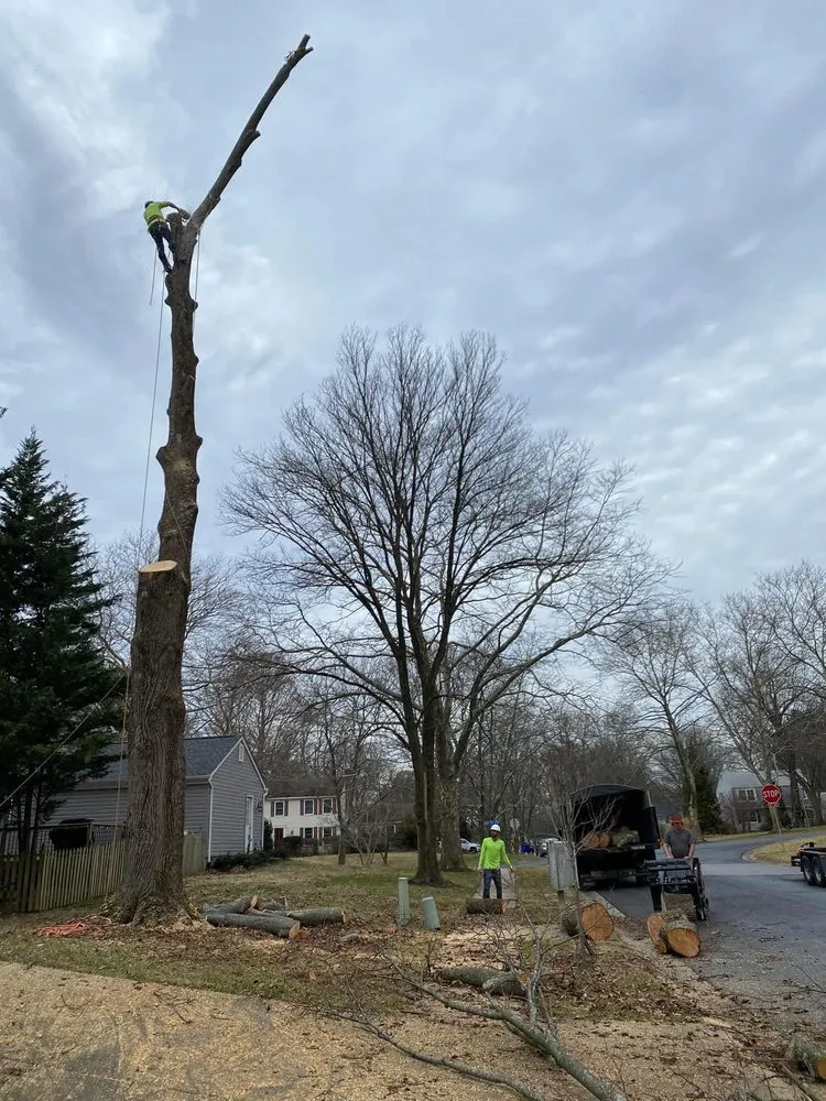 Local yard maintenance in Brooklyn, MD by KJA Landscaping